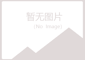 益阳赫山初夏咨询有限公司